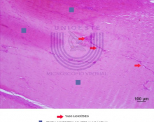 Modelado-2