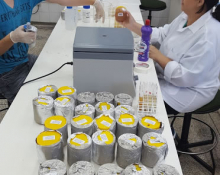  Preparação do material em laboratório.